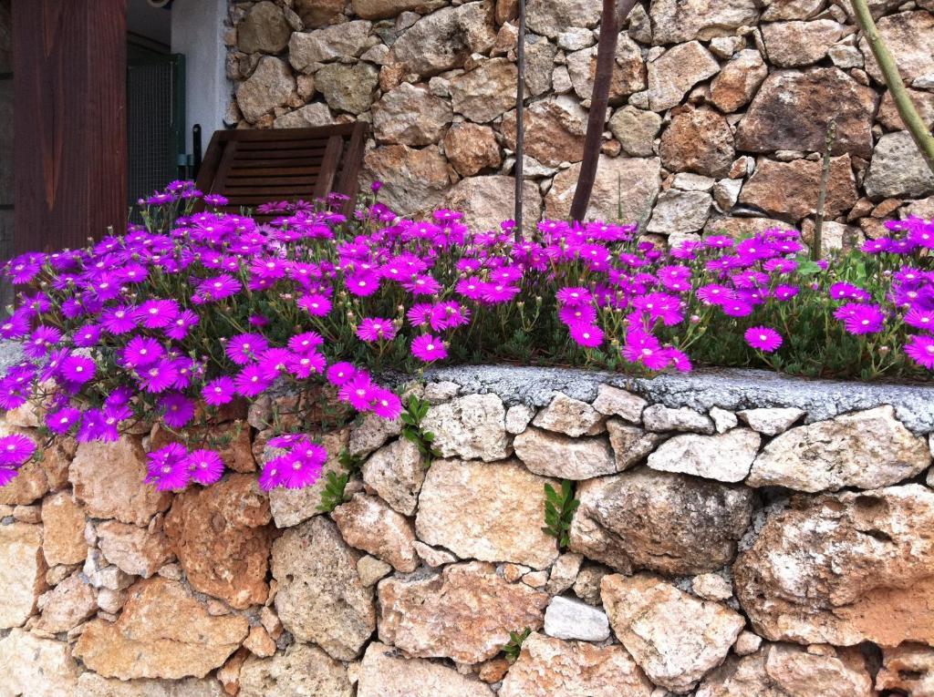 Agriturismo La Rocca Di Perti 피날레리구레 외부 사진