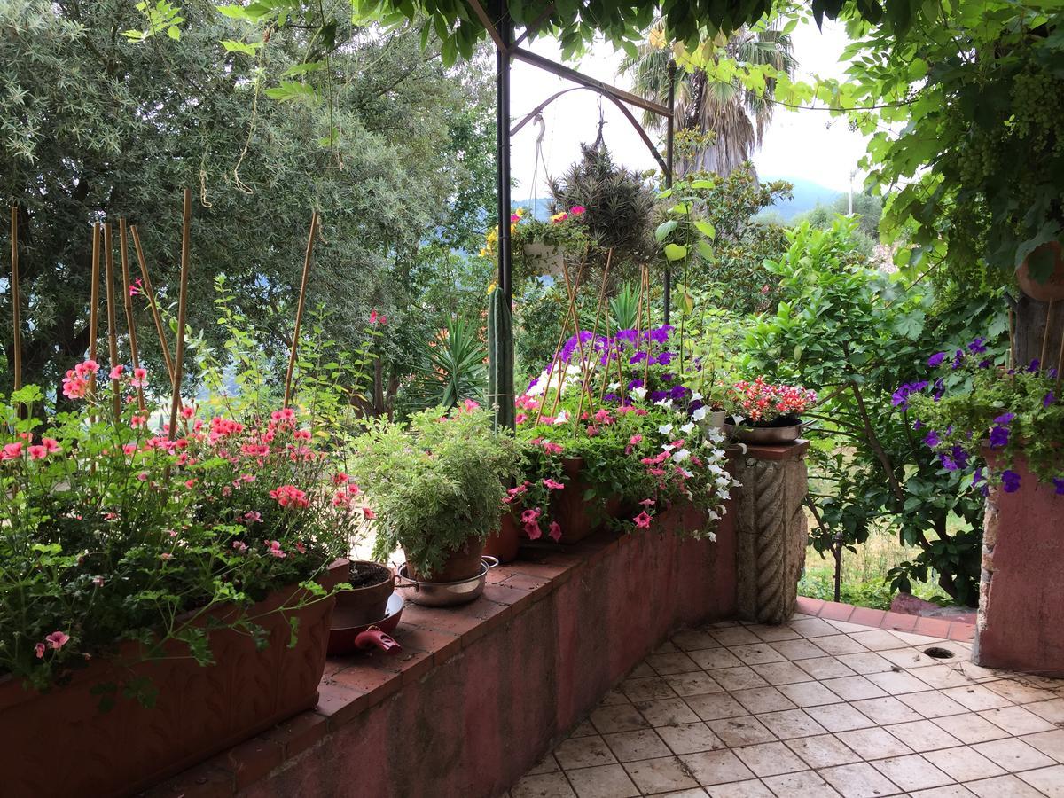 Agriturismo La Rocca Di Perti 피날레리구레 외부 사진